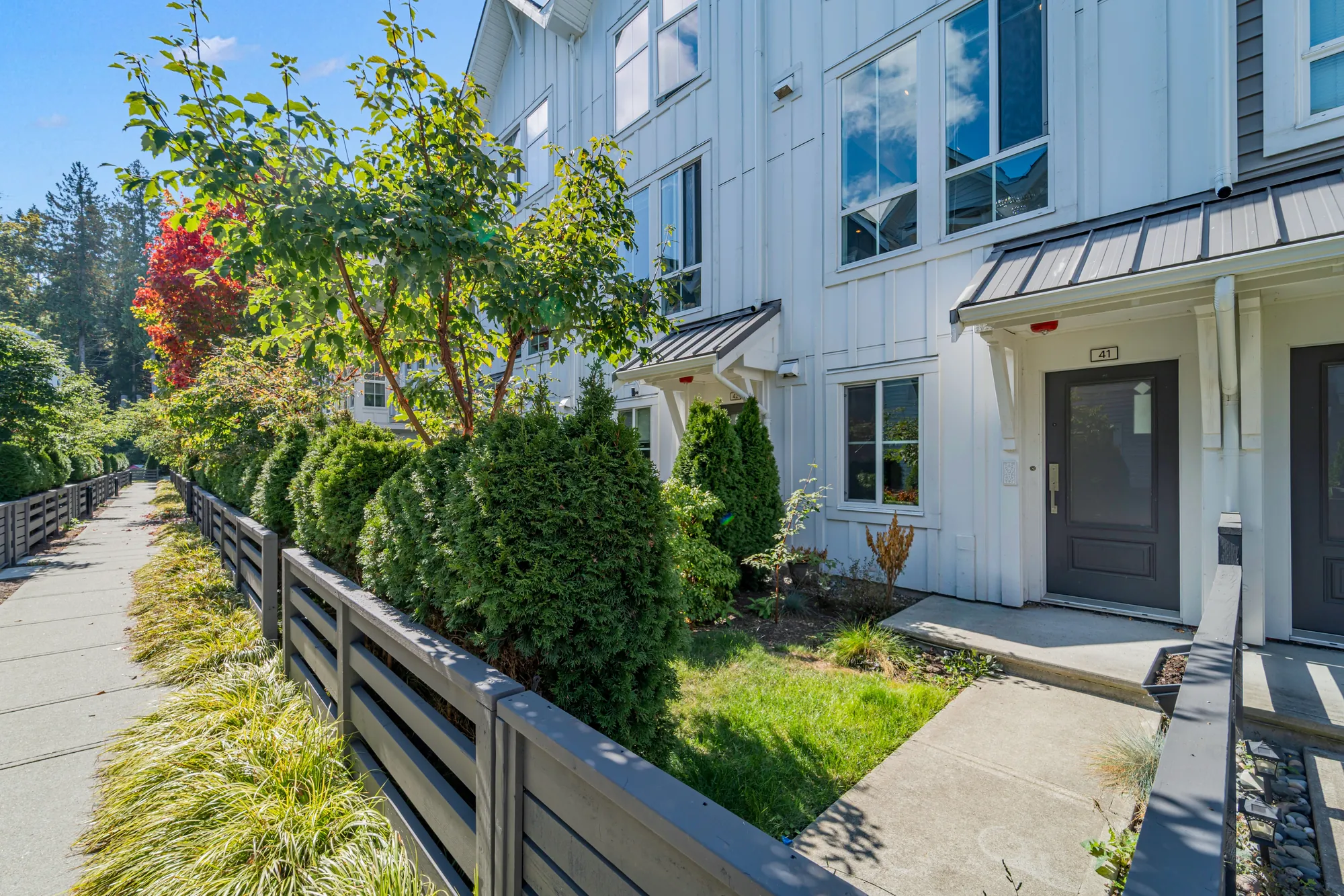 The front walk along the row: a path between a slatted fence and grasses, the small fenced front gardens, 41's door and number at the right